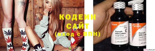 дурь Арсеньев