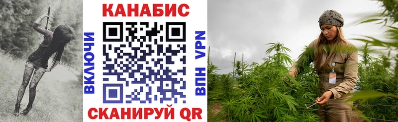 Каннабис OG Kush  Купить  Коряжма 